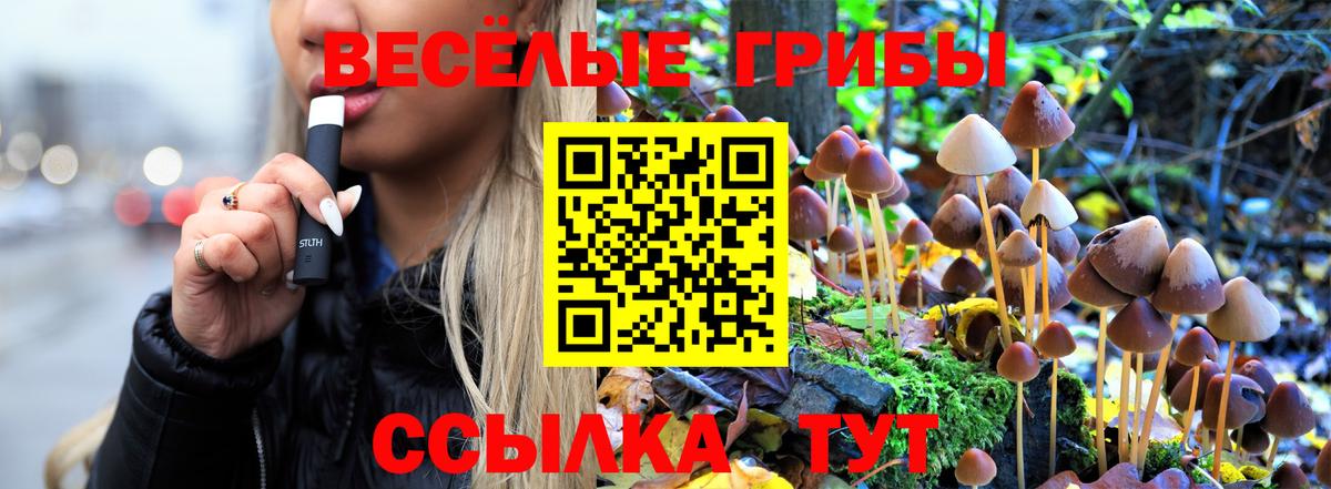 Югорск  наркота  Галлюциногенные грибы Psilocybe  Вход с VPN  Псилоцибиновые грибы Psilocybine cubensis 