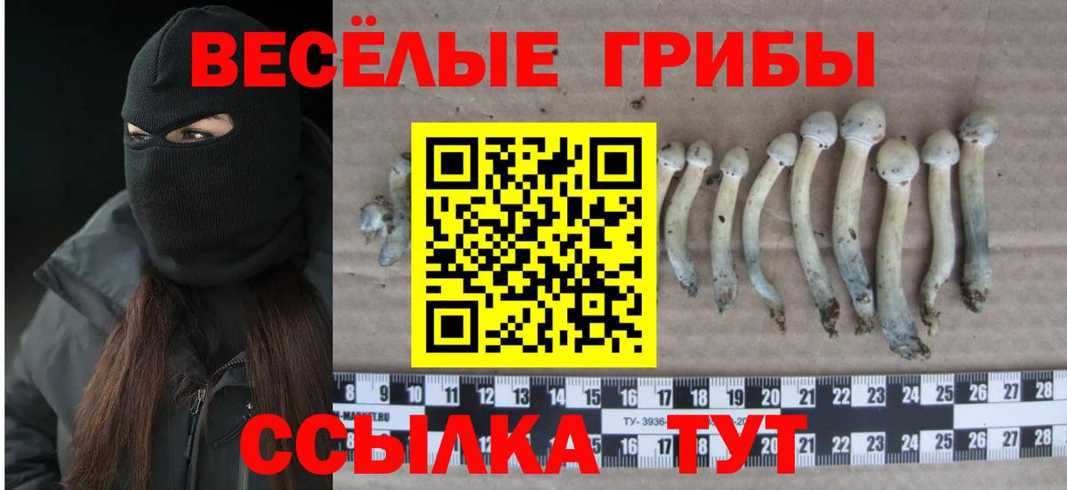 Псилоцибиновые грибы прущие грибы Югорск